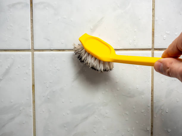 Lafayette, CA Mold Removal Company