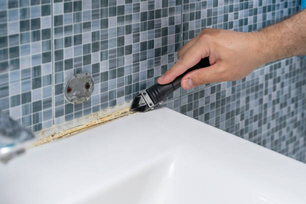 Best Fast Mold Removal  in Lafayette, CA