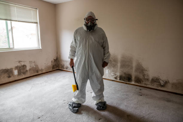 Certified Mold Removal in Lafayette, CA